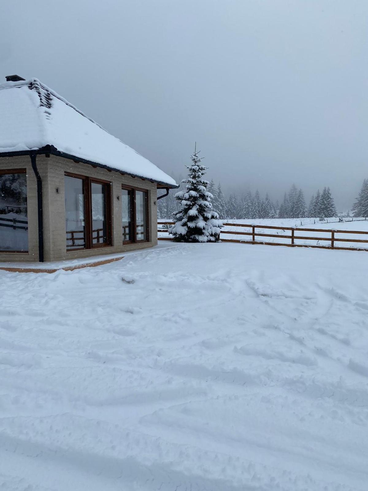 Vikendica Krlic Villa Mitrovac Bagian luar foto